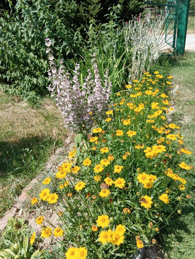 Cookies Old House Visoko Apartment ภายนอก รูปภาพ